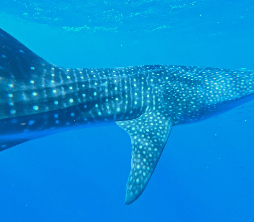 3c3de95f-12f3-4a52-9f17-311fc4404e9c