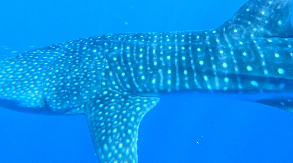 3c3de95f-12f3-4a52-9f17-311fc4404e9c