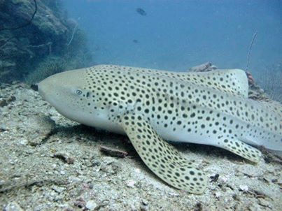 4fb04ac3-a3b0-4974-8fa0-f70434fecc09