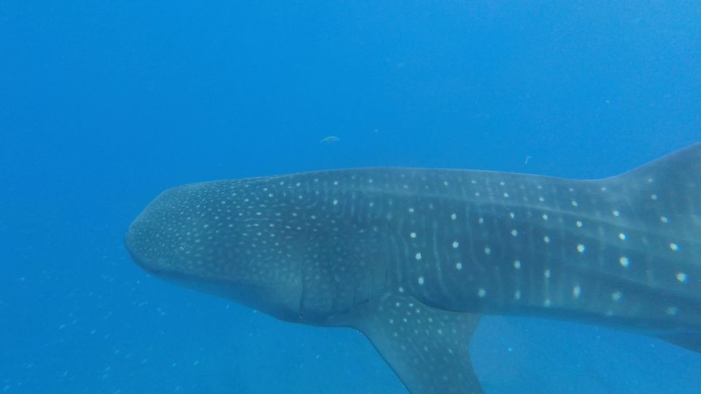 e5bfc7cc-fd17-4d95-800a-886dcff63d61