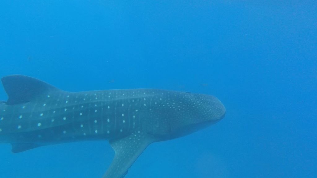 e5bfc7cc-fd17-4d95-800a-886dcff63d61