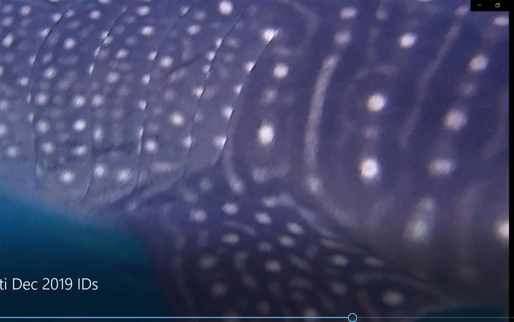 a6613573-ec3d-41bf-8e4f-322ce15cee4e