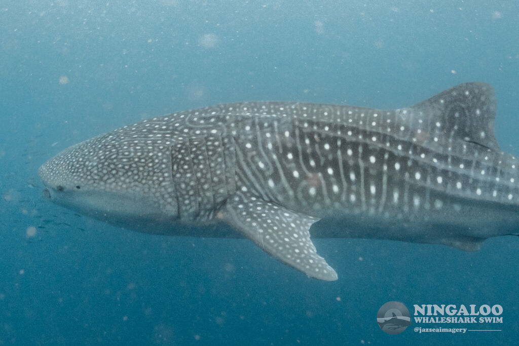 e6edd8ef-7d52-40de-9f1c-c7e1710f7aea