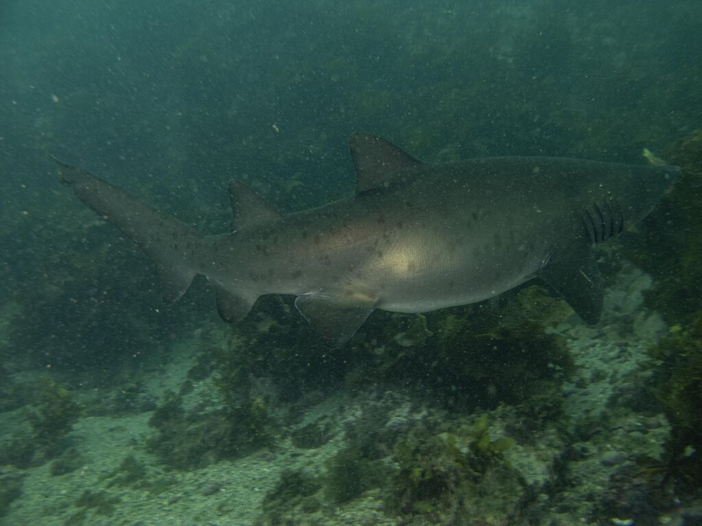 a1a6ae38-9629-4fec-b465-ba4bacb0ffc2