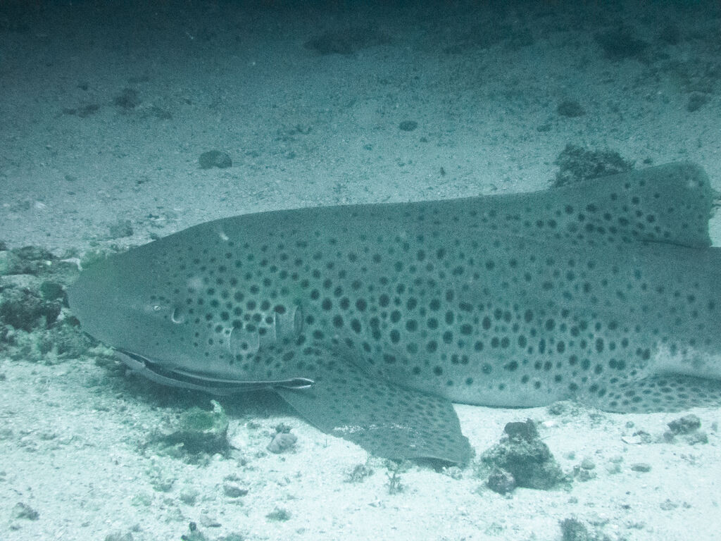 4b8975e6-bb43-4c0b-93ea-5ffc80134e2a