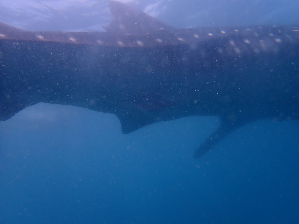 fdc901be-e439-4106-a4fd-4bb0fa263fa6