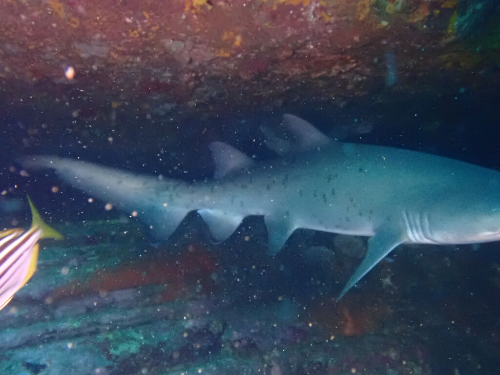 dd192edb-6e38-4525-a465-891a32fb4a3f