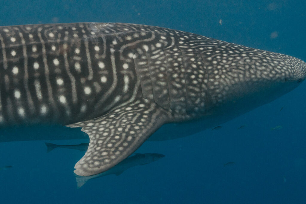 27a846f0-d4d9-4f7f-be51-7b3e8be7f054