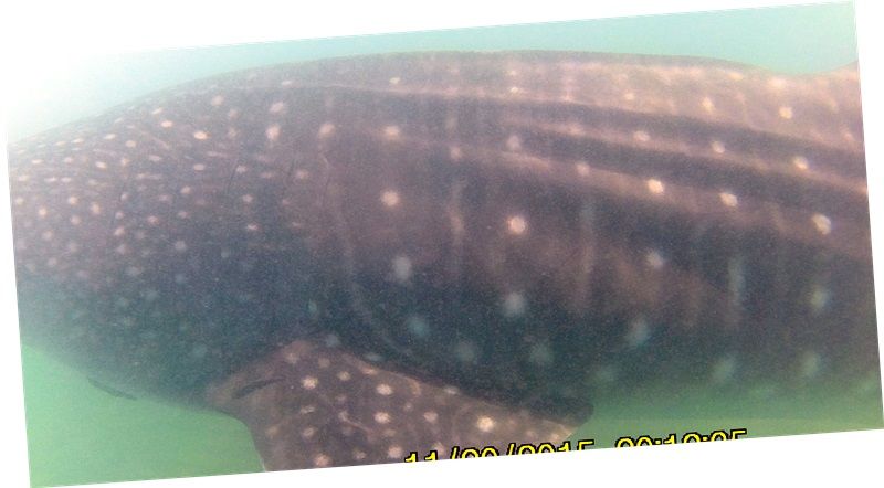 580969f9-aaef-4adc-acb9-80ed9d39f64a