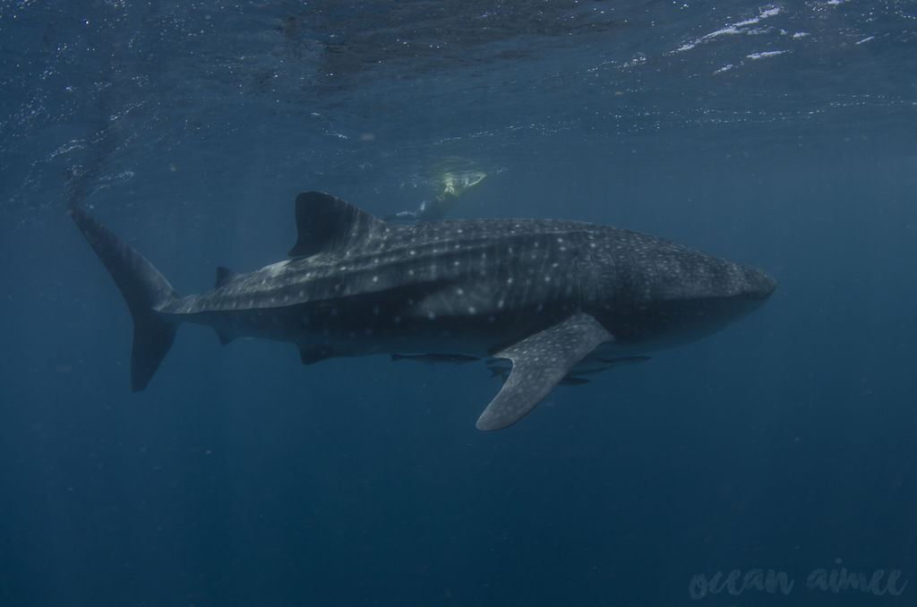 7f7ed114-9214-437f-9a00-7a425c4c25d0