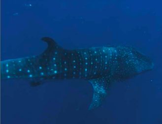 a202fd1c-d164-44ad-825c-a956be36753b