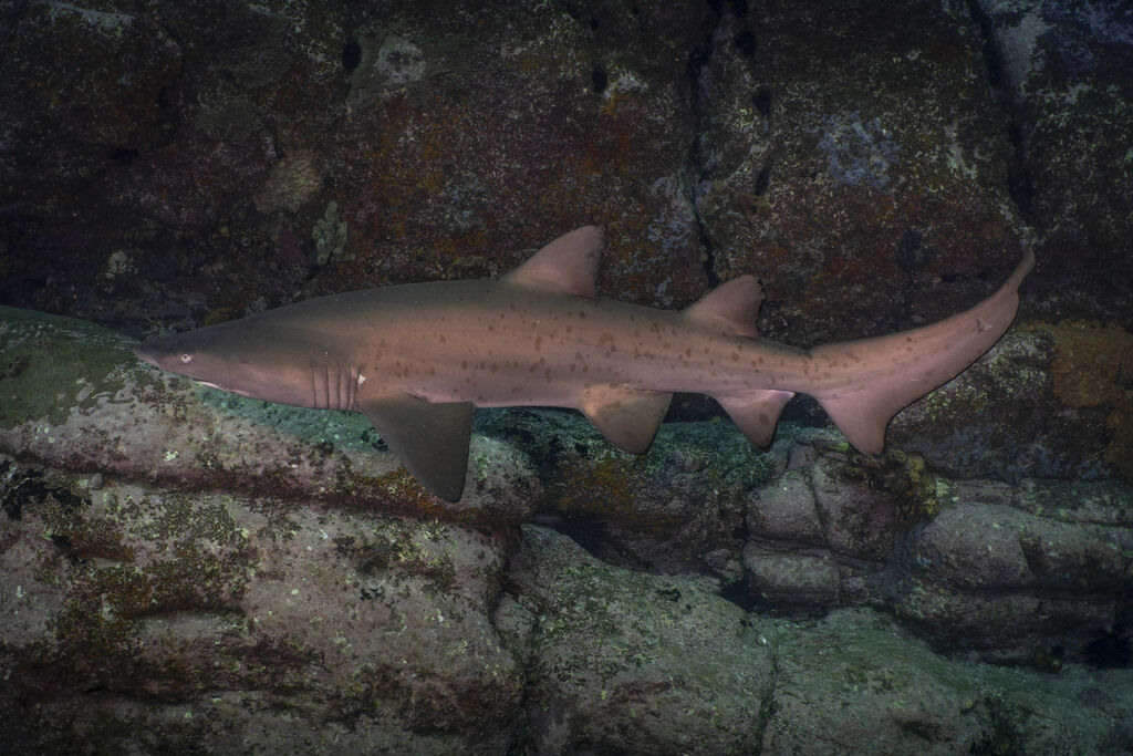 3f19b0f7-4ae6-444f-ac56-7112d00cabef