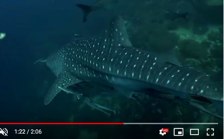 a709d985-23cc-41be-a47c-6fdb0dbf3cd9