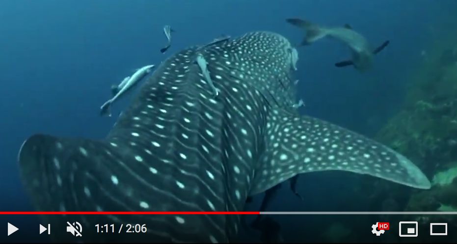 a709d985-23cc-41be-a47c-6fdb0dbf3cd9