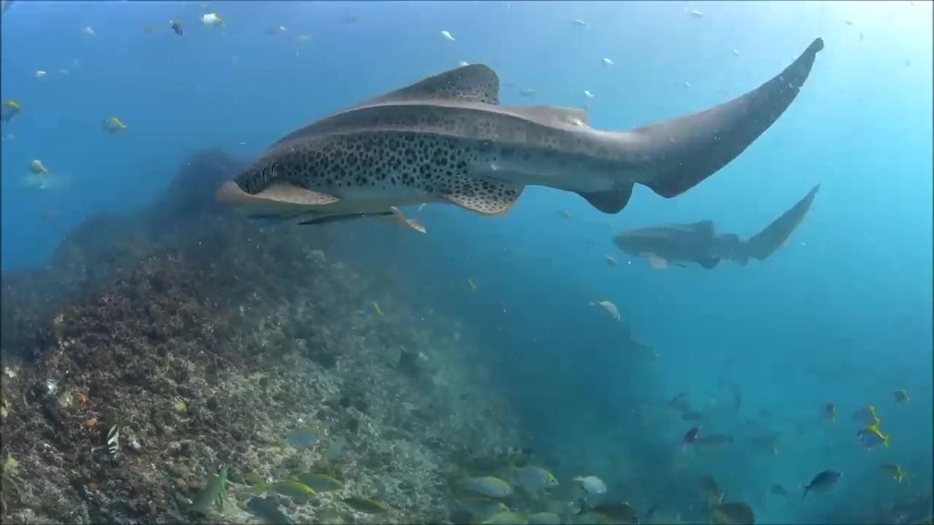 fb3992bd-e9cb-4b7d-bec9-0b774f0e632f