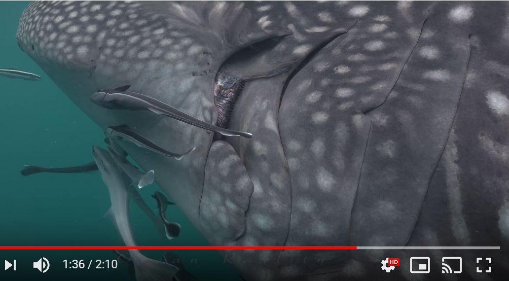 b0af999c-f132-4161-a51f-f4e92d0da533