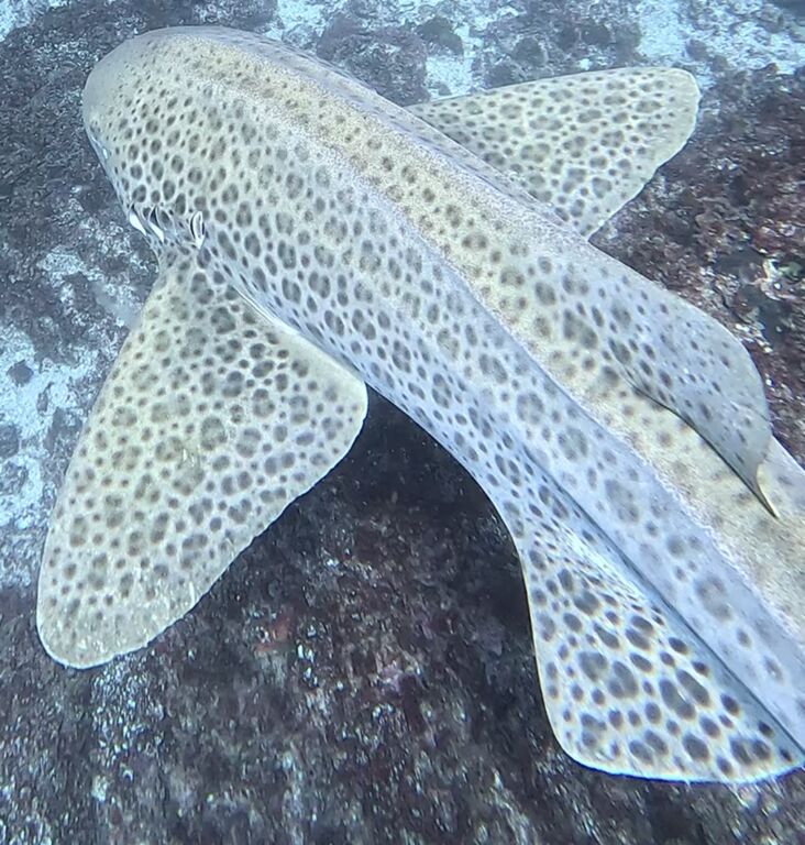 9d645b58-b67d-4f65-9061-3940d8102f90