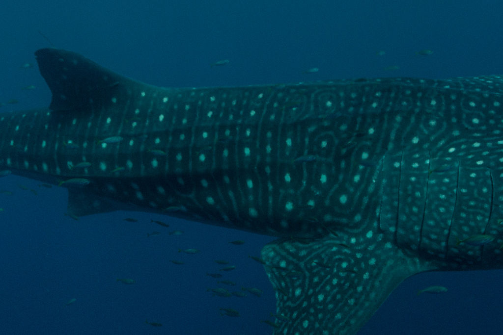 0ca01899-5820-4f46-9ff0-26bcbd1f6eb8