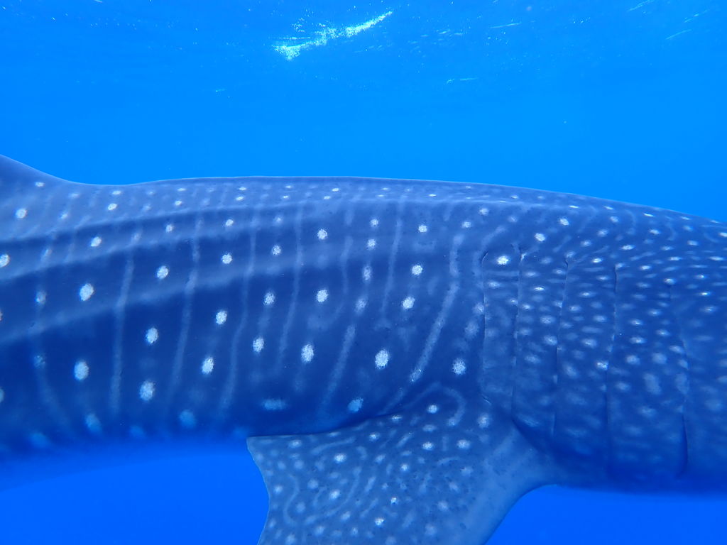 8d2f142e-e56e-4c41-b021-c88cfadbc26a