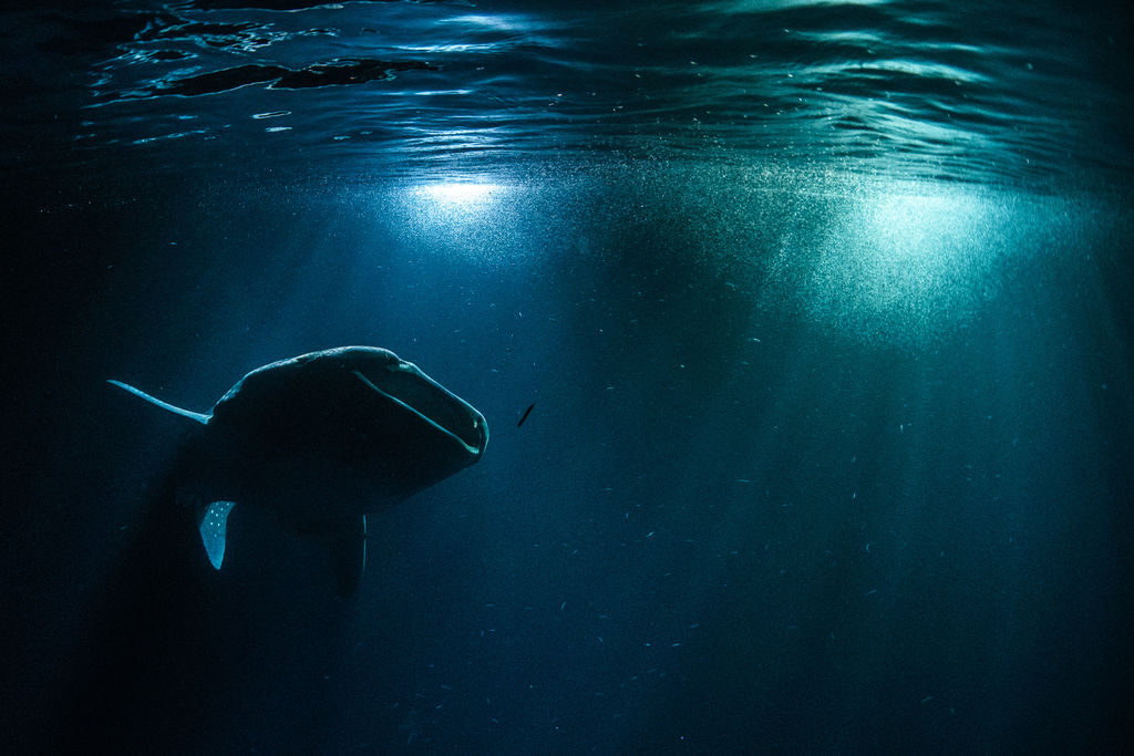 56566fa6-1dd1-4307-aee8-e1df55db5da0