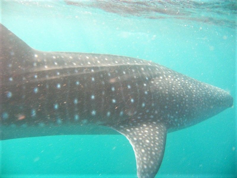 a59a5e33-a77b-4643-a739-9d0c4acadb25