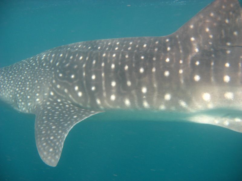 a59a5e33-a77b-4643-a739-9d0c4acadb25