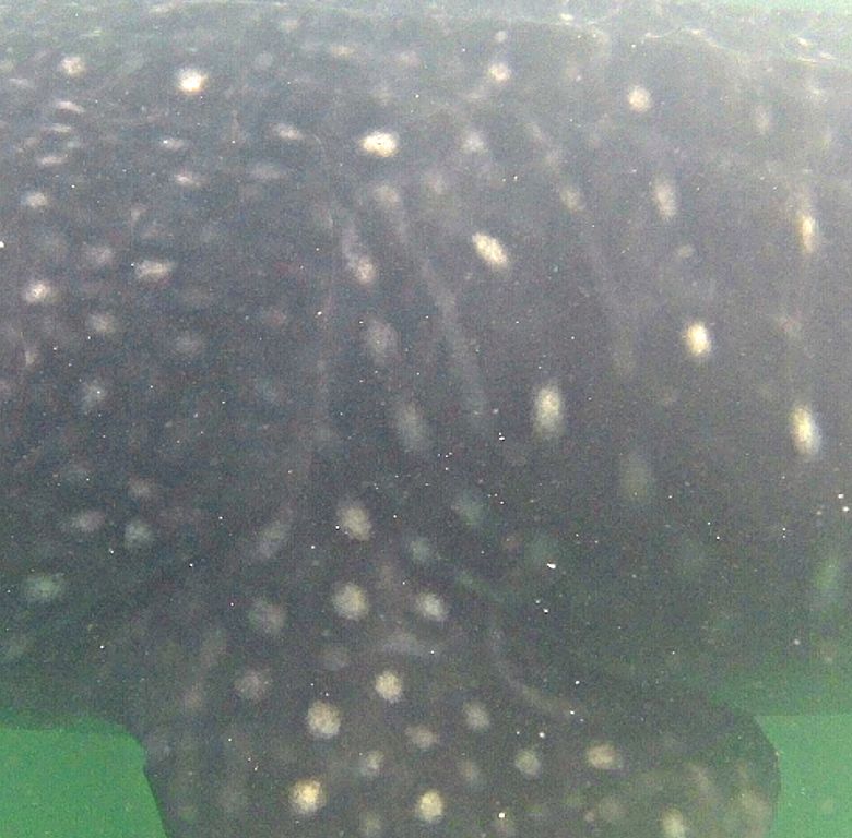 f3a71b25-1920-41b8-b8f9-d8cc83e544ff