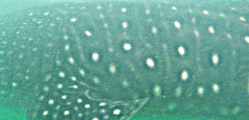 f3a71b25-1920-41b8-b8f9-d8cc83e544ff