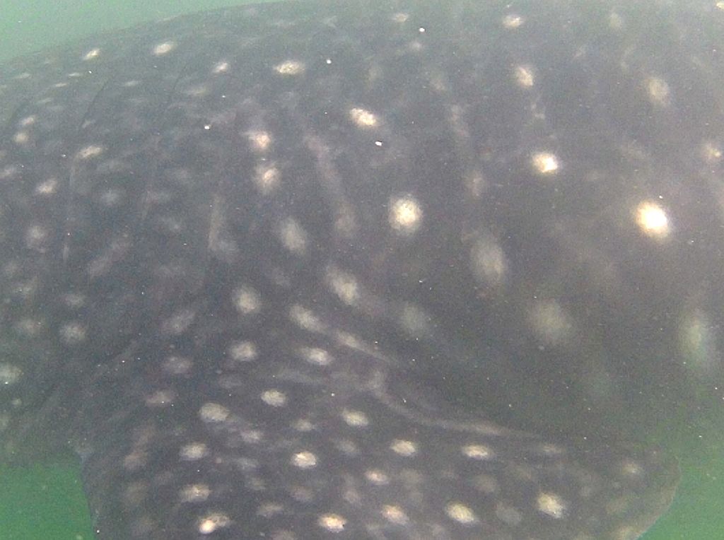 f3a71b25-1920-41b8-b8f9-d8cc83e544ff