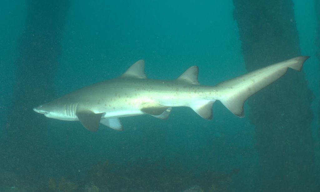 d9904ba3-dd05-4550-b6a8-8254650242d3