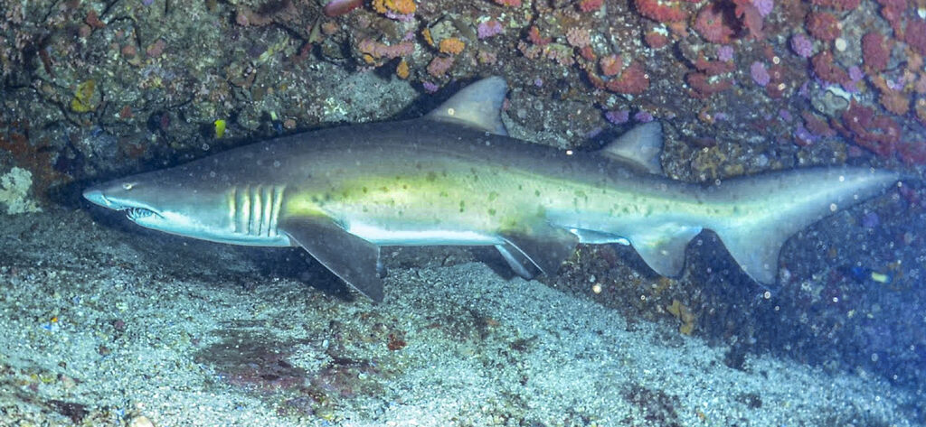 0fc97ede-5f0b-4abc-b32b-7f7374948fa5