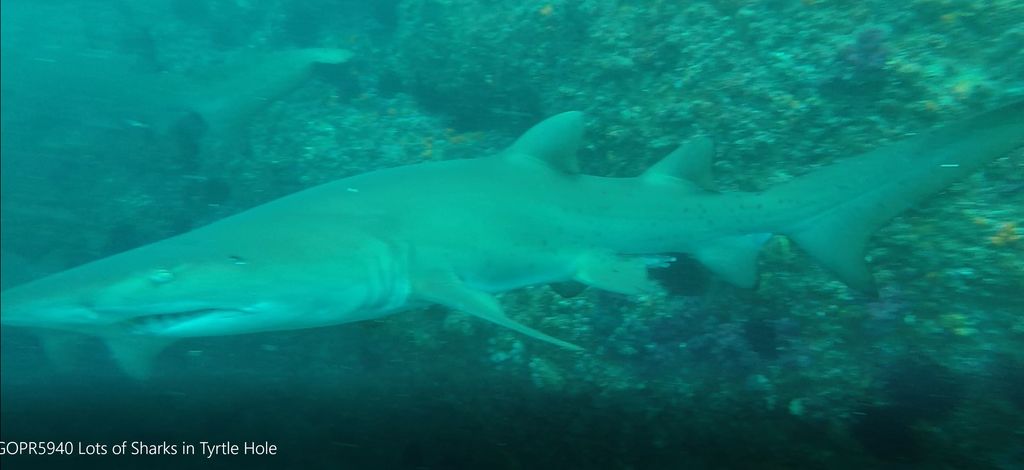 1a8cc155-d6de-441c-bce9-665aae1a00ca