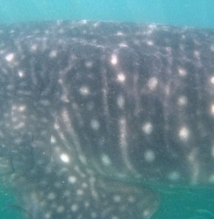 aa9eb8ef-269f-4326-b97b-92cf5041ed89