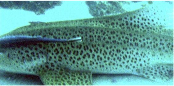 332afc8f-470f-4464-adf7-88c6e3b13a4c