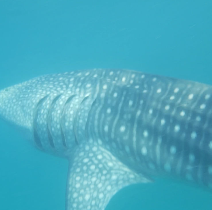 de3004cf-bc88-485f-9e76-8363c892ddb5