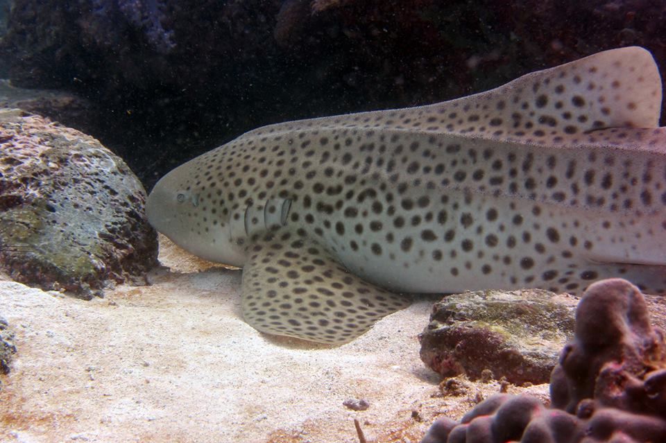 aab8af65-d2d3-413d-ab6a-832e97a63d8d