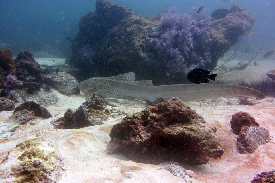 aab8af65-d2d3-413d-ab6a-832e97a63d8d