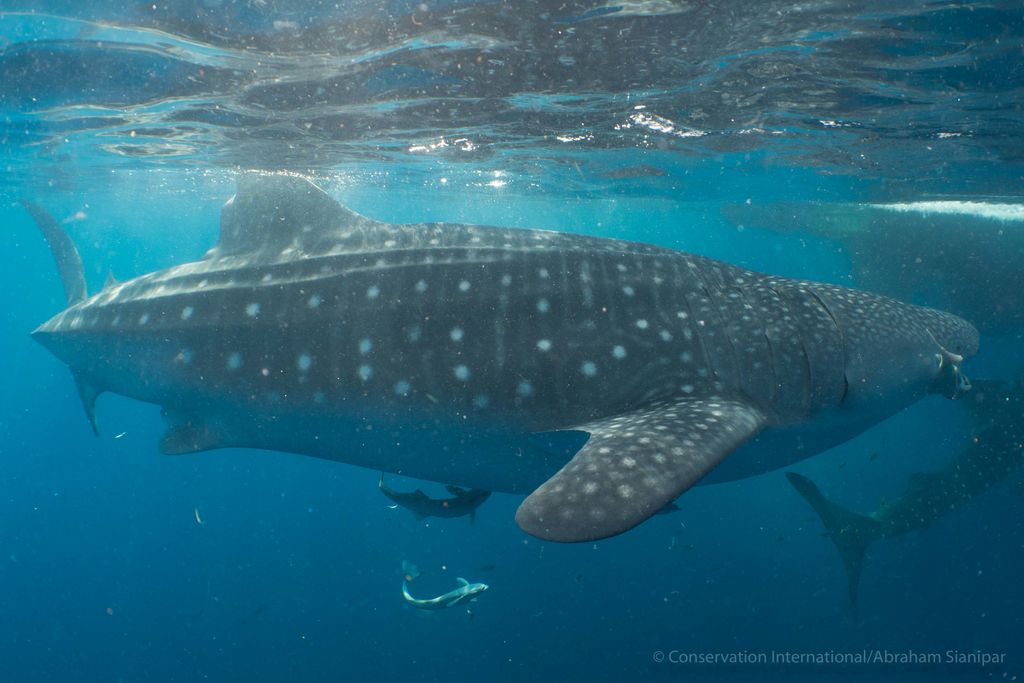 882ae398-6ea5-4705-b4f7-d7a0415df740