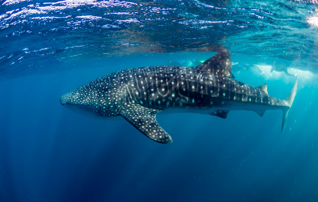 3bdc2afa-4006-49de-b3f7-ed024bdccbc0