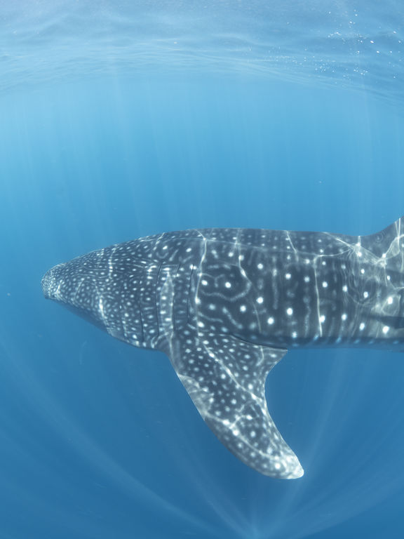 63625622-40d2-43b5-8d9a-e6fd85c45c17