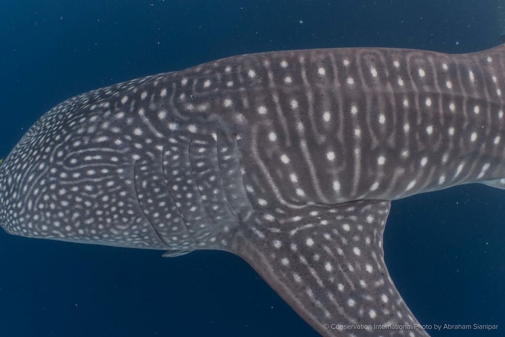 952afc76-adc6-4743-8740-742379c1d6e7