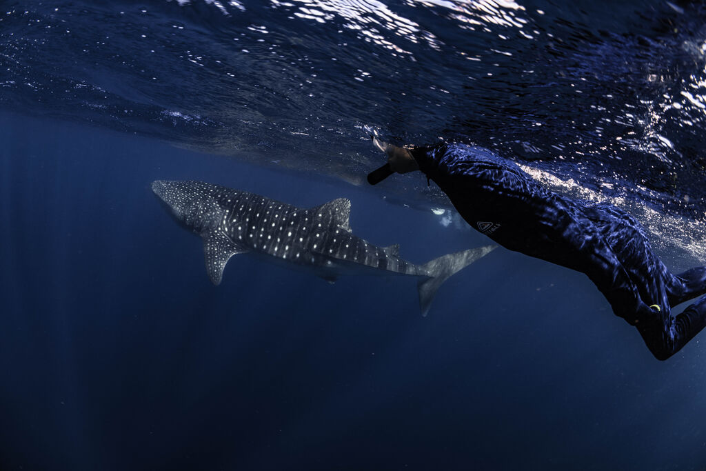 f0037054-6d07-46dc-a1f7-771143e69b40