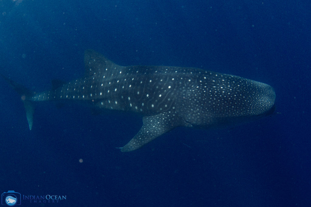 6f227070-4b2d-4ba6-a72e-61057c7d334c