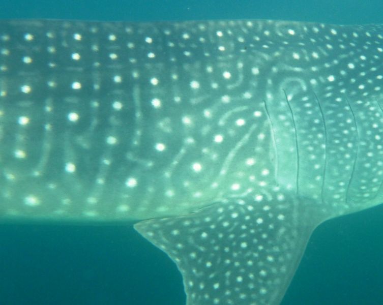 71a5e21b-ec19-4f7b-9b80-0062e048bf56