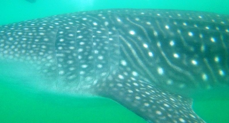 326efc75-c4c6-4970-84e7-249ea0b0b44b