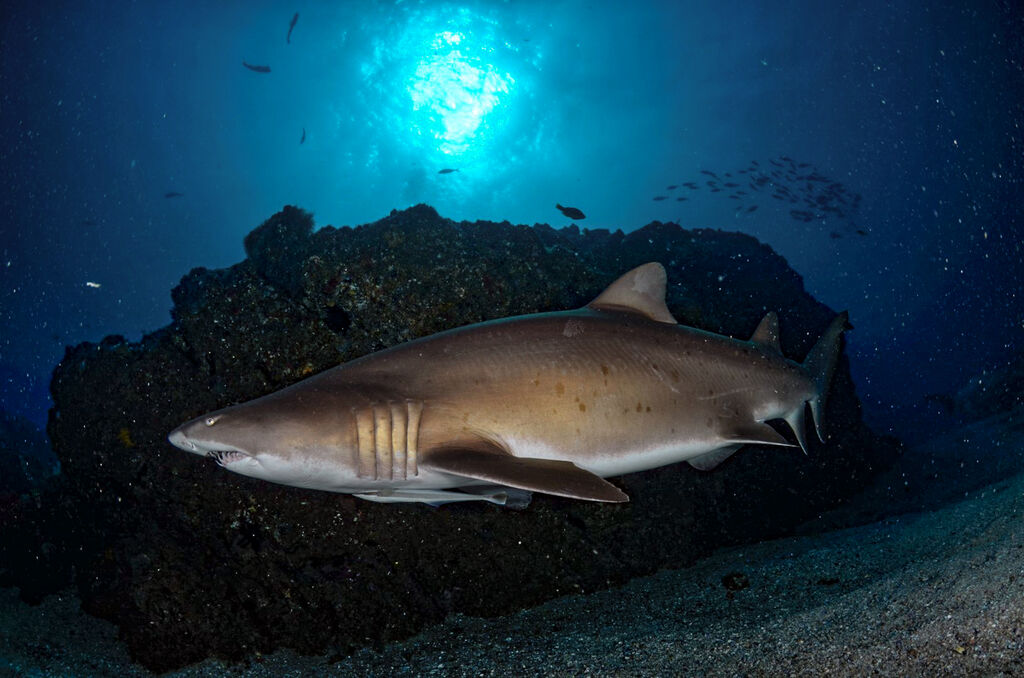 cc24b159-a5d9-491a-b326-75db4611f3d4