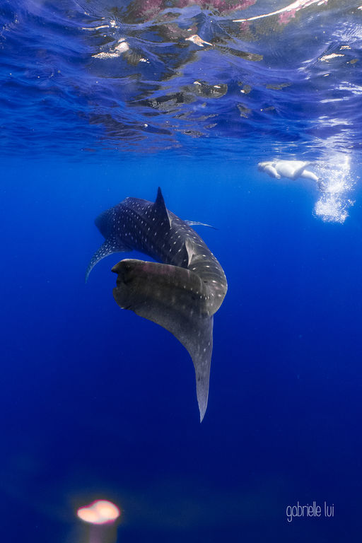 aef91695-027a-4cd2-a5e8-64f43f37627e