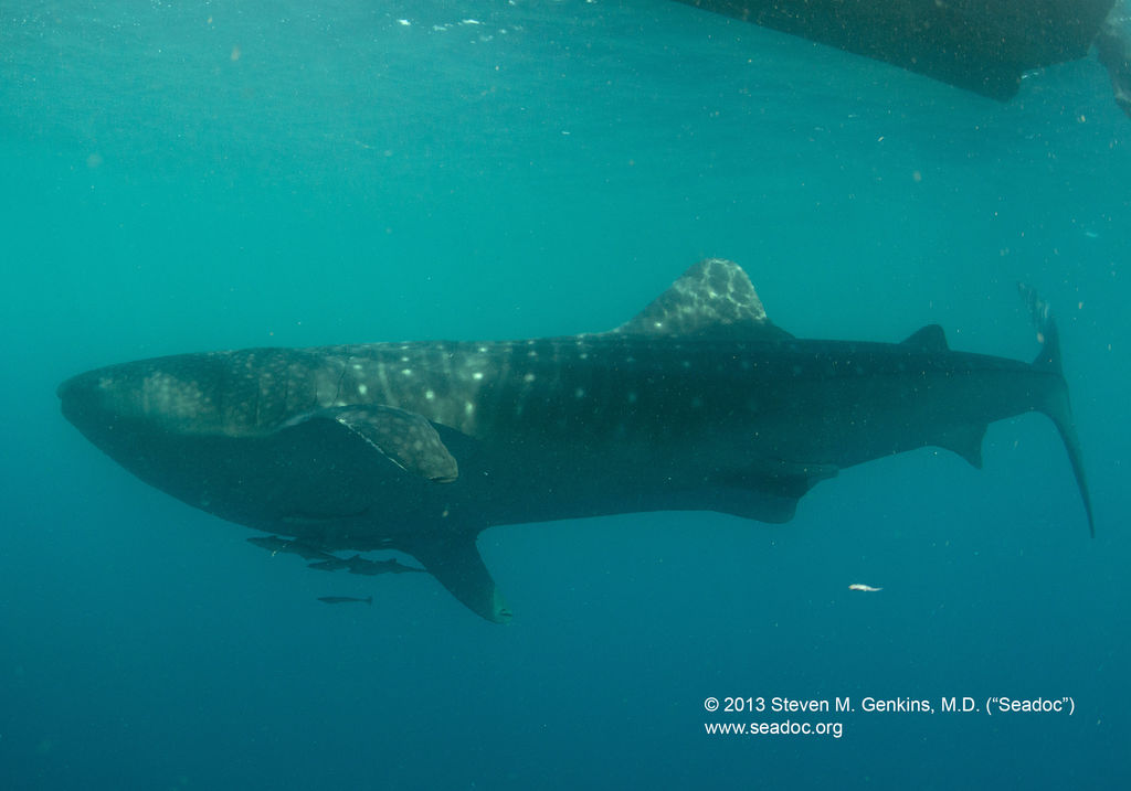 f141a0fc-e46f-44fb-a9e6-96f1b6d1c4cc