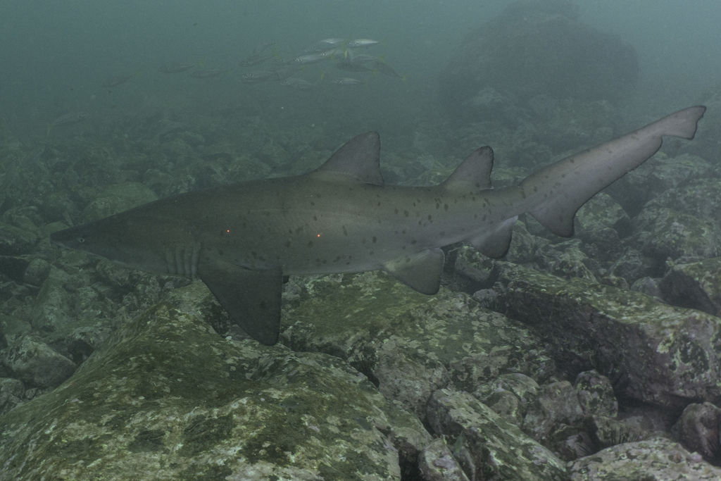 ab1ced0f-4fc9-477b-a74c-9643ea395837