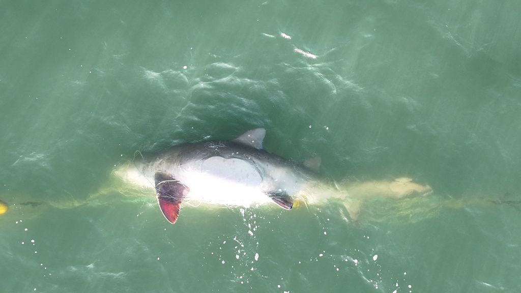 a32b9ba9-2008-4333-8919-6baca8eb6421